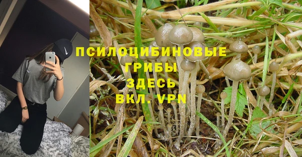 СК Володарск